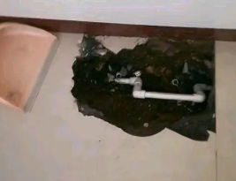 确山卫生间测漏水多少钱
